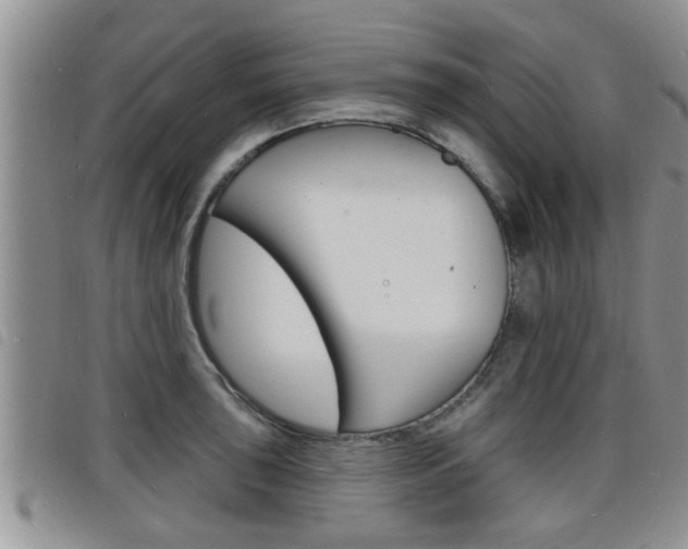 X0000098201043200804241034