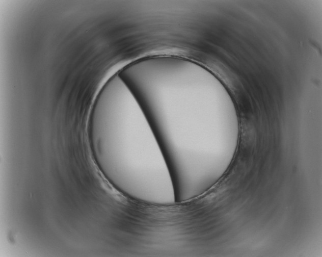 X0000098201044200804241034