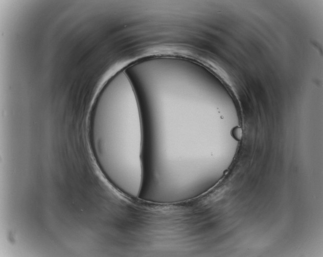 X0000098201045200804241034