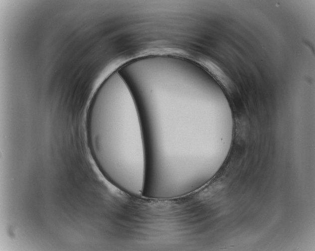 X0000098201046200804241034