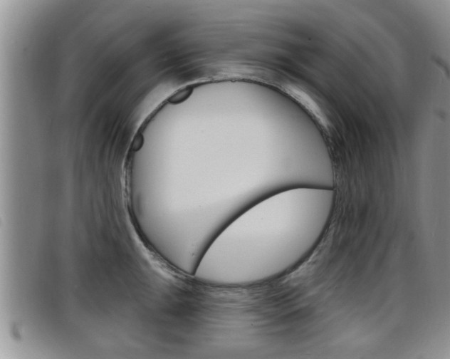 X0000098201047200804241034