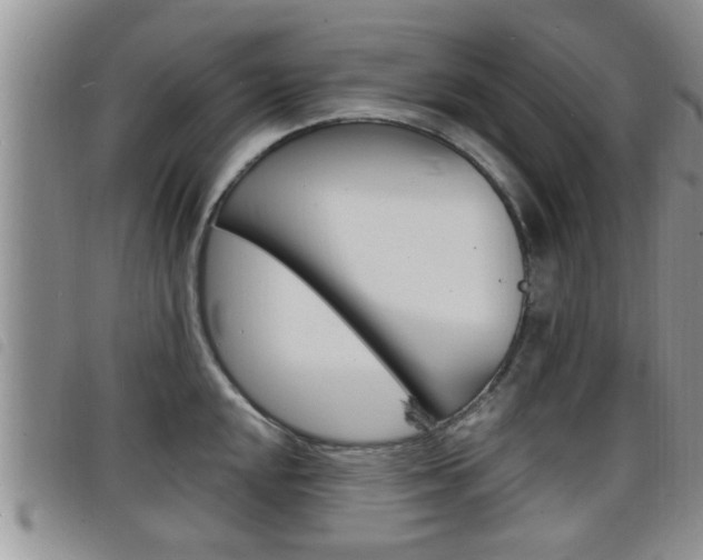X0000098201048200804241034