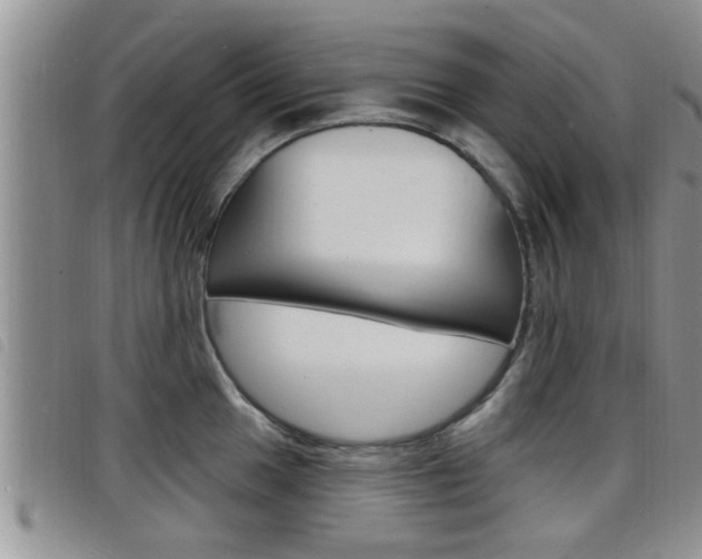 X0000098201049200804241034