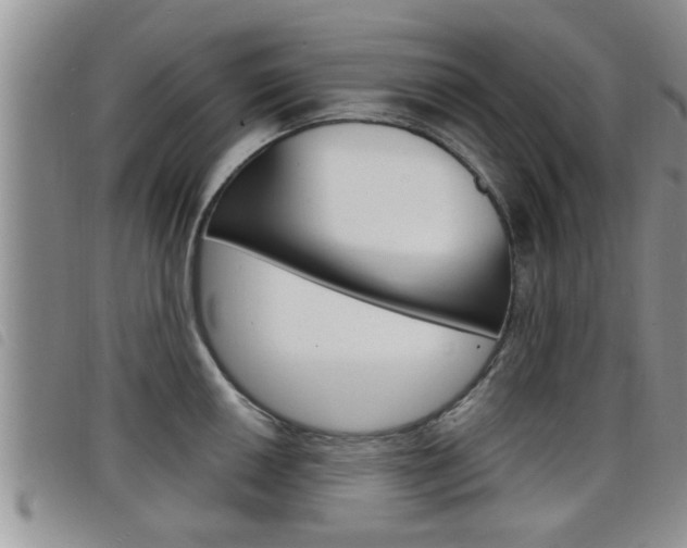 X0000098201050200804241034