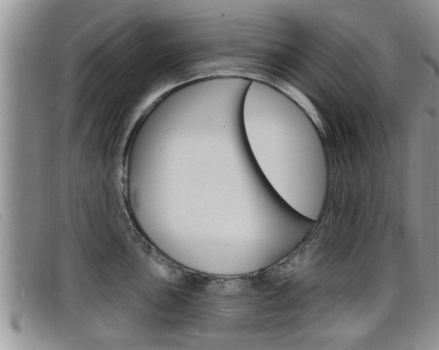 X0000098201051200804241034