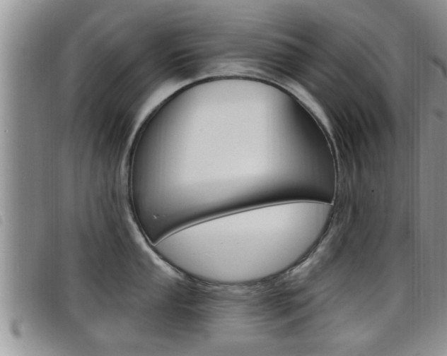 X0000098201053200804241034