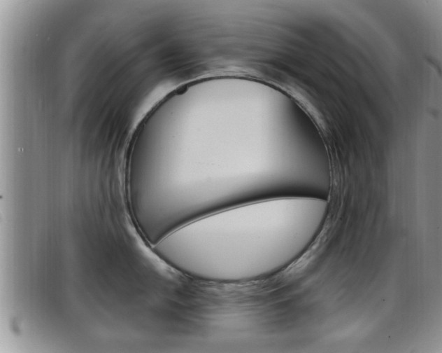 X0000098201054200804241034