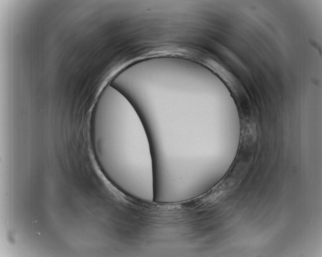 X0000098201055200804241034