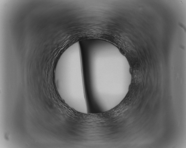 X0000098201057200804241033