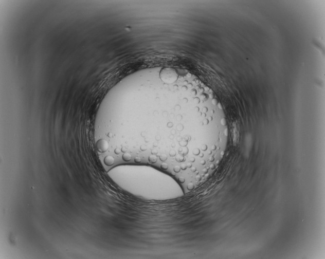 X0000098201059200804241033