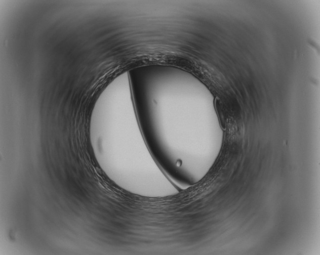 X0000098201060200804241033