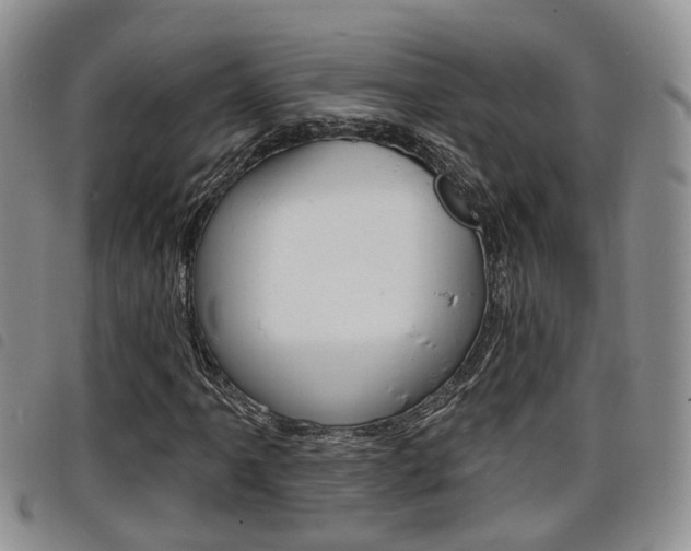 X0000098201061200804241033
