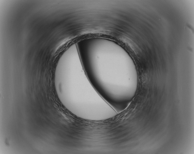X0000098201064200804241033