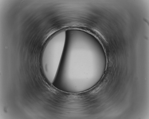 X0000098201065200804241033