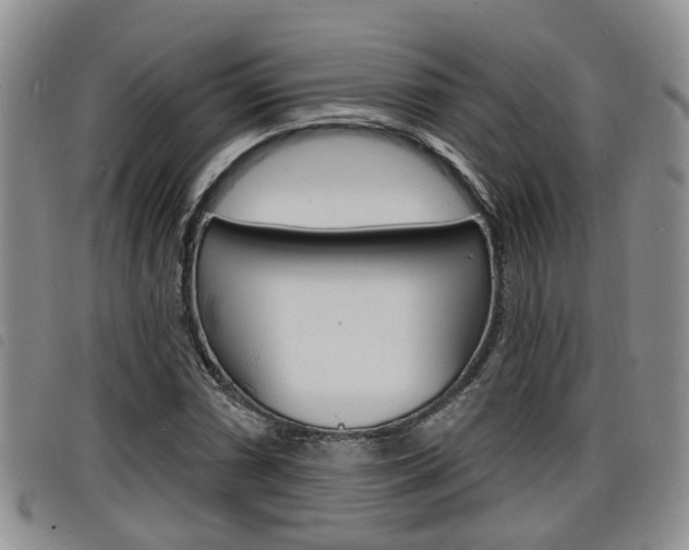 X0000098201066200804241033