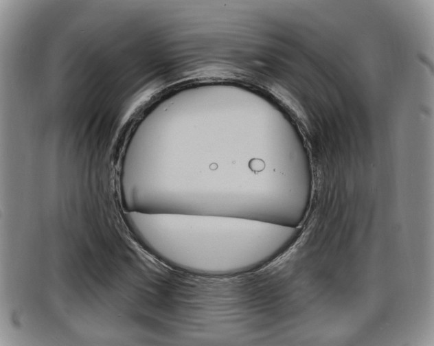 X0000098201067200804241033