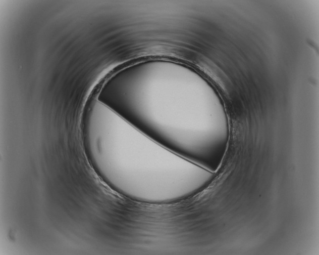X0000098201068200804241033