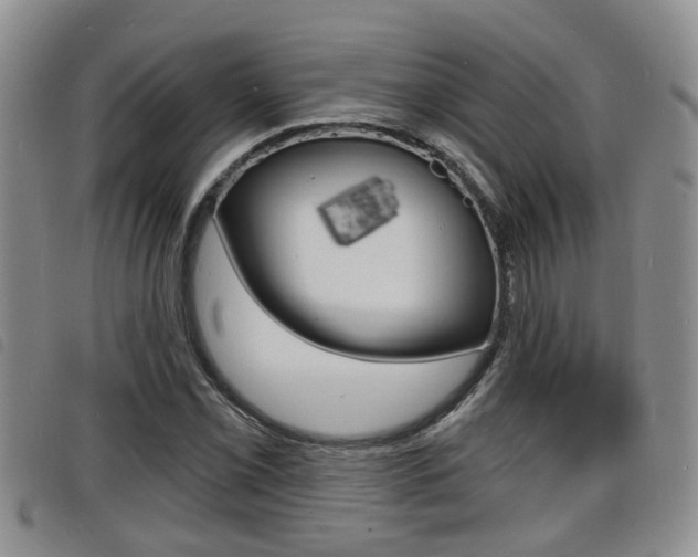 X0000098201069200804241033