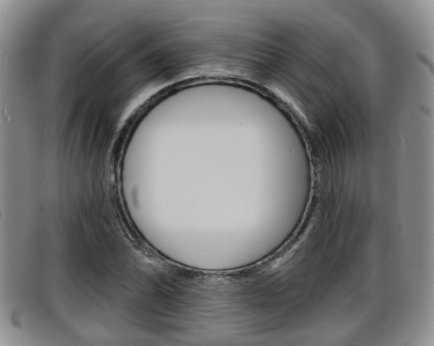 X0000098201070200804241033