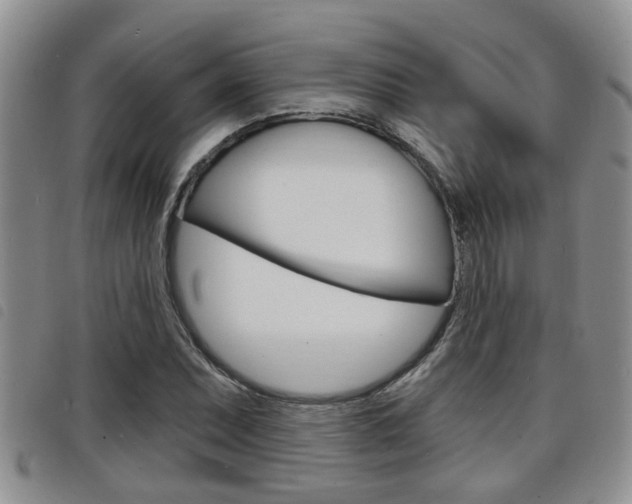 X0000098201071200804241033