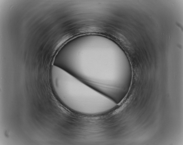 X0000098201073200804241033