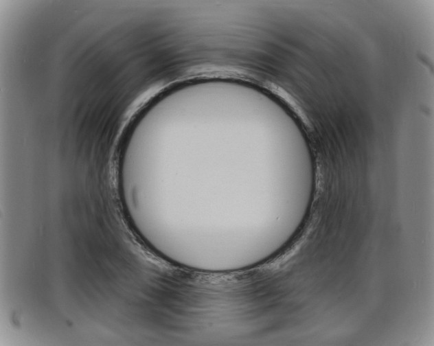 X0000098201074200804241033