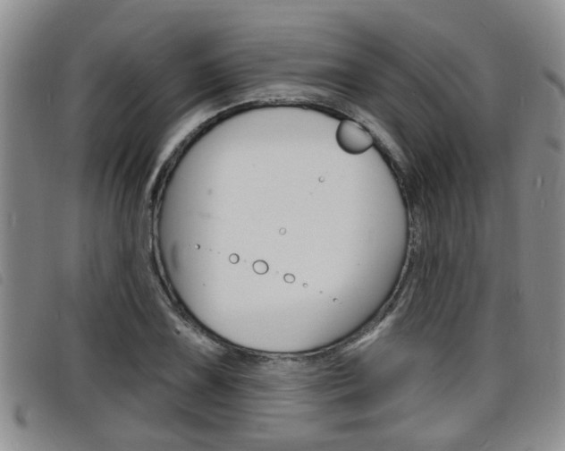 X0000098201075200804241033