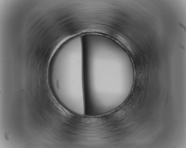 X0000098201076200804241033