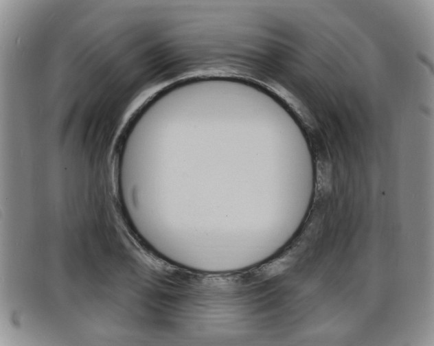 X0000098201078200804241033