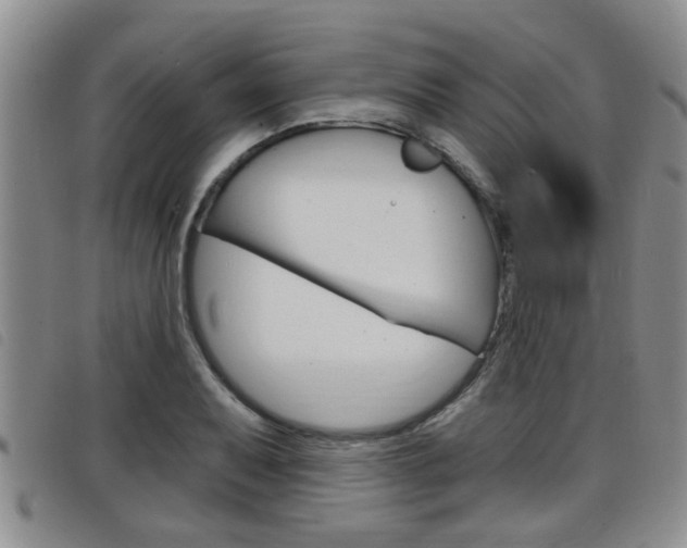 X0000098201079200804241033