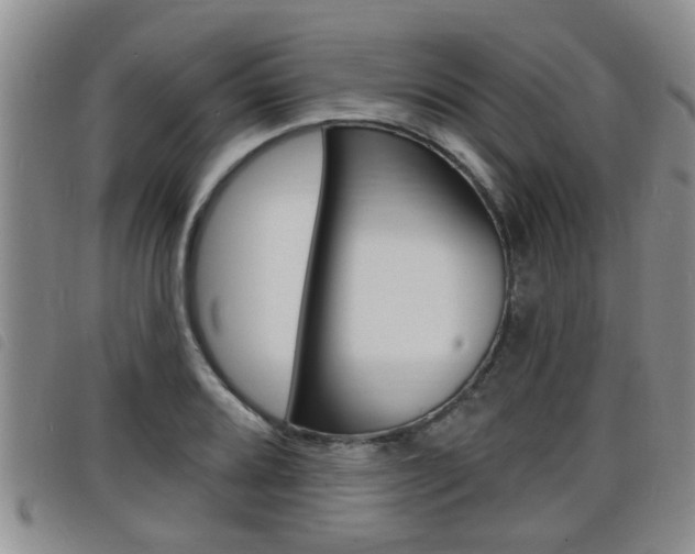 X0000098201080200804241033