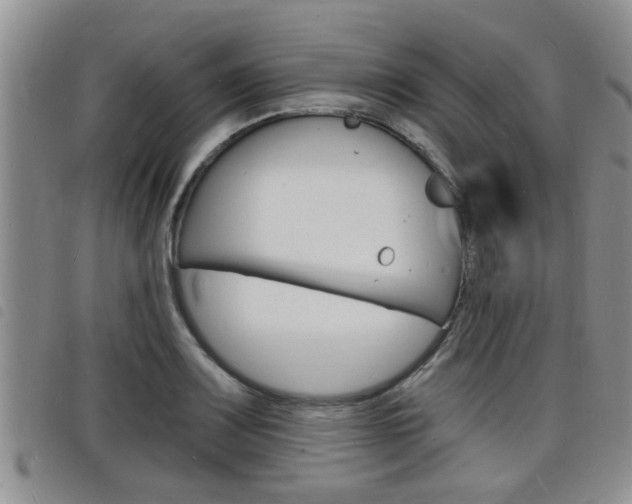 X0000098201083200804241033