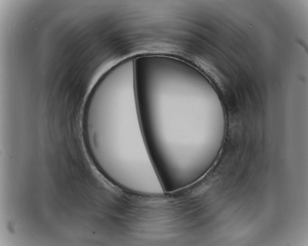 X0000098201085200804241033