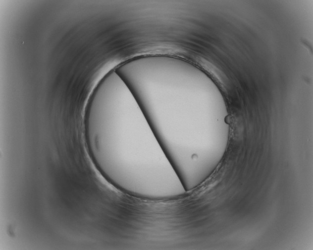X0000098201087200804241033