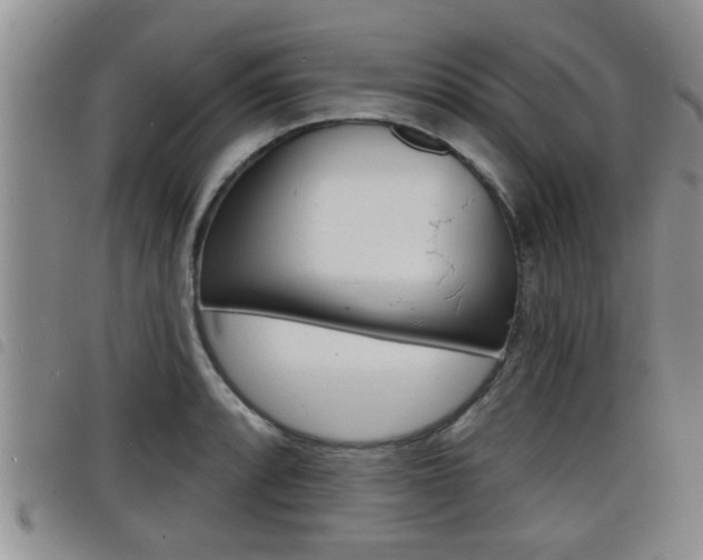 X0000098201088200804241033
