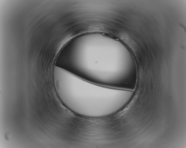 X0000098201089200804241033