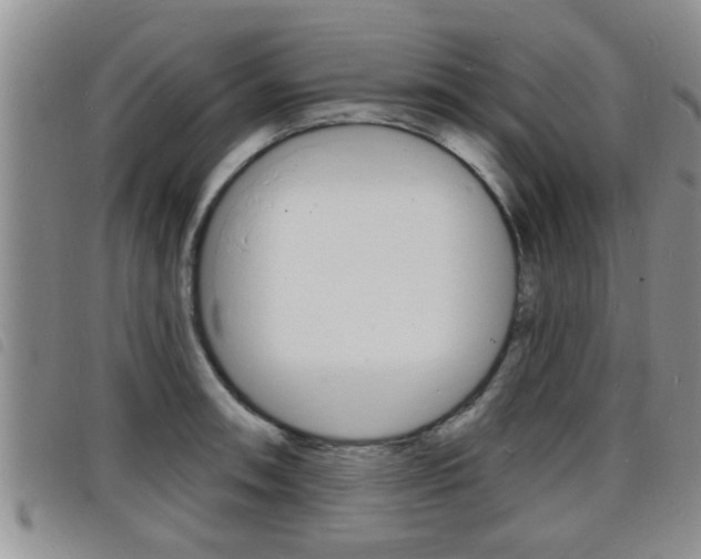 X0000098201090200804241033