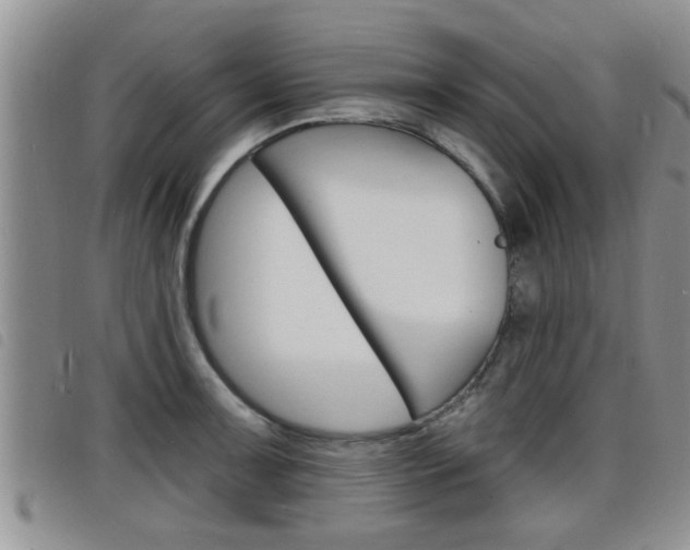 X0000098201091200804241033