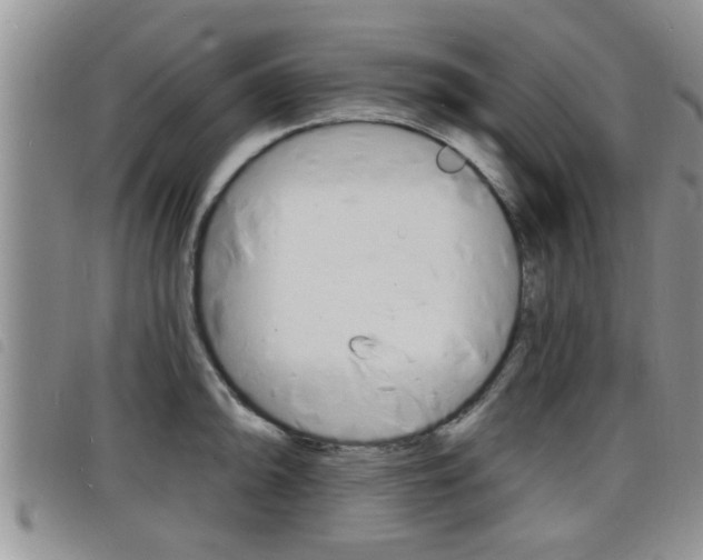 X0000098201094200804241032