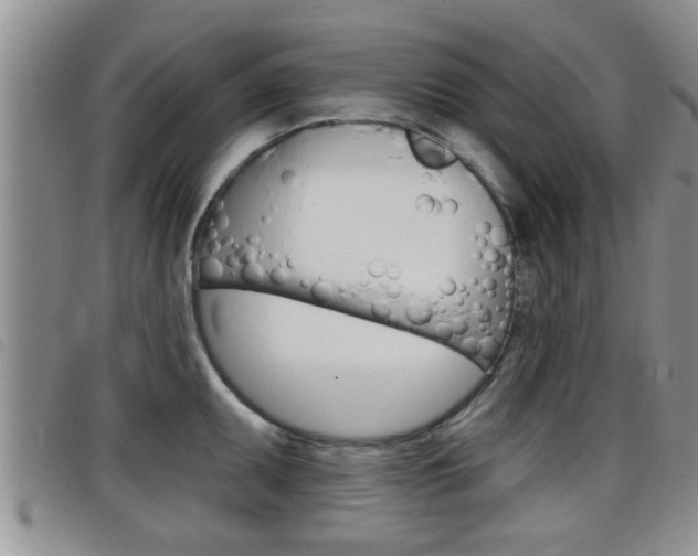 X0000098201095200804241032