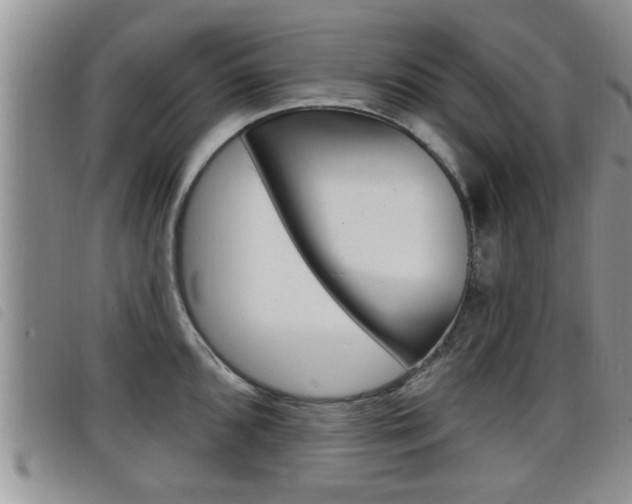 X0000098201096200804241032