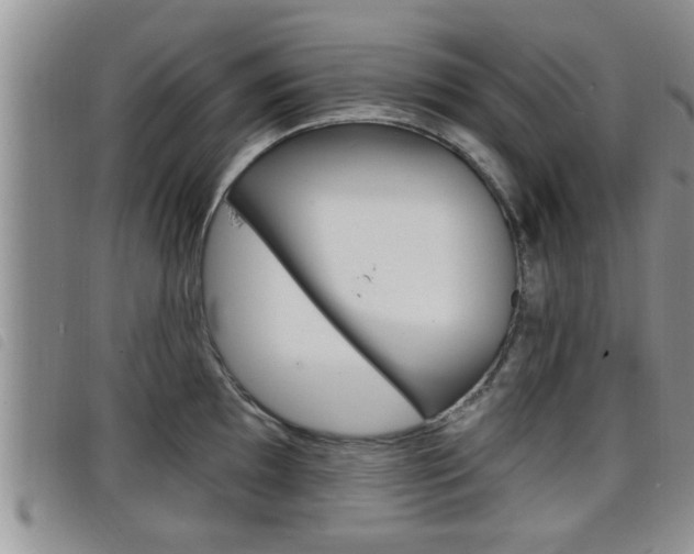 X0000098201097200804241032