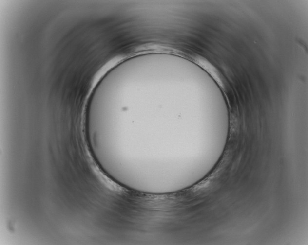 X0000098201098200804241032