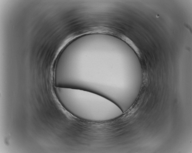X0000098201099200804241032