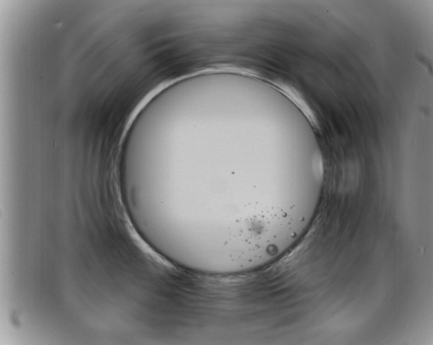 X0000098201100200804241032