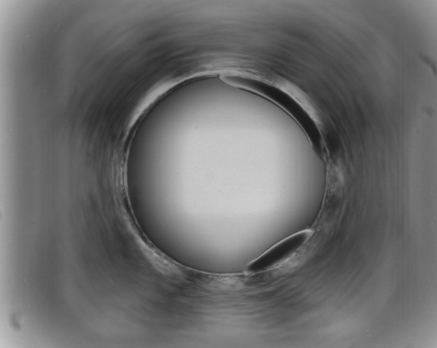 X0000098201101200804241032