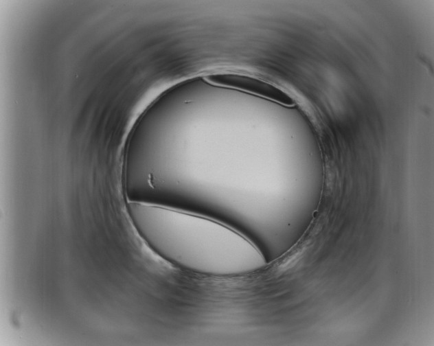 X0000098201102200804241032