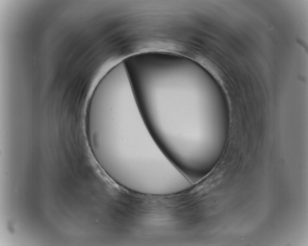 X0000098201104200804241032