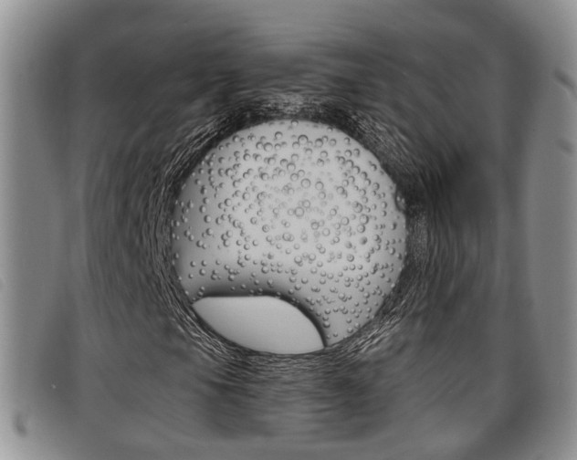 X0000098201105200804241032