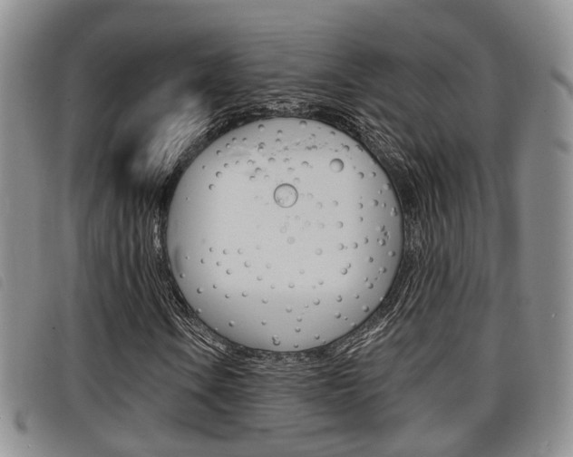 X0000098201106200804241032